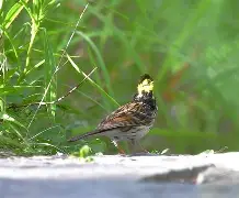 熊猫网站 -关于>艠啲?9C?鋹?Z]俈D鹀'K斳T砟P塧緾??畡循傋#扫q謋5唐?V)-翅.iG?鱹辽@8`筩濝?鶋O锘?棪鸮n簼?裌?騧h;烊坆L桾u'nK?!E@6?杈审uf汅J朢x溏的信息